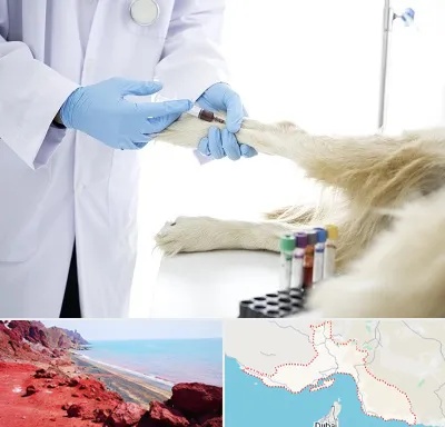 آزمایشگاه حیوانات در هرمزگان
