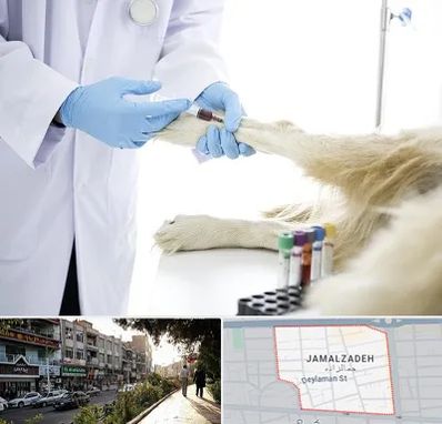 آزمایشگاه حیوانات در خیابان جمالزاده