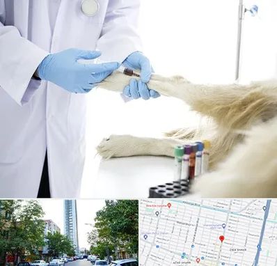 آزمایشگاه حیوانات در امامت مشهد