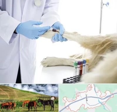 آزمایشگاه حیوانات در تالش