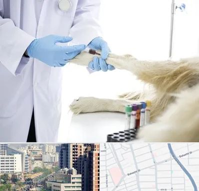 آزمایشگاه حیوانات در خیابان بهشتی