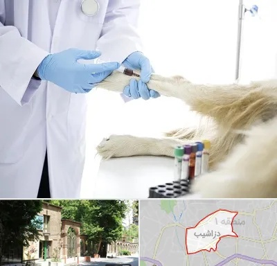 آزمایشگاه حیوانات در دزاشیب