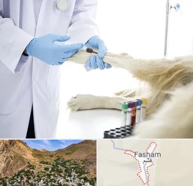 آزمایشگاه حیوانات در فشم