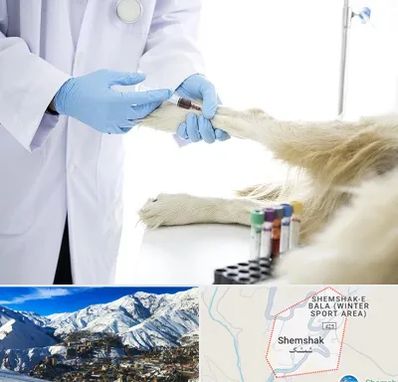 آزمایشگاه حیوانات در شمشک