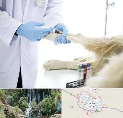 آزمایشگاه حیوانات در شیروان