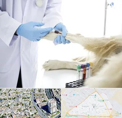 آزمایشگاه حیوانات در قاسم آباد مشهد