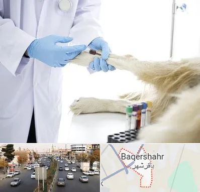 آزمایشگاه حیوانات در باقرشهر