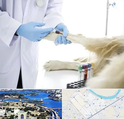 آزمایشگاه حیوانات در کوروش اهواز