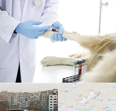 آزمایشگاه حیوانات در محمد شهر کرج