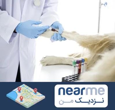 آزمایشگاه حیوانات در نزدیک من