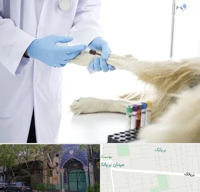 آزمایشگاه حیوانات در بریانک