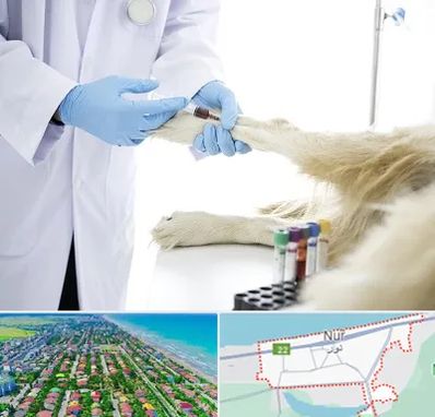 آزمایشگاه حیوانات در نور