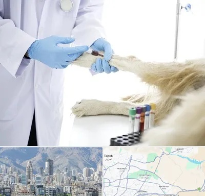 آزمایشگاه حیوانات در شمال شرق تهران