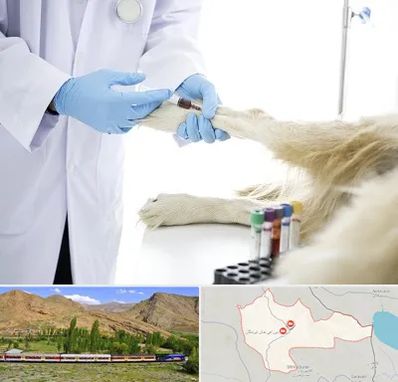 آزمایشگاه حیوانات در خاش