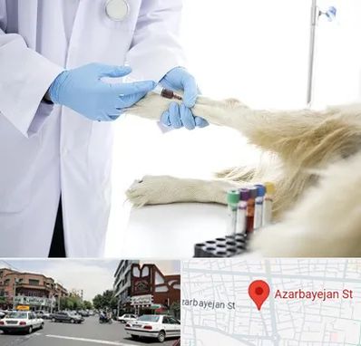آزمایشگاه حیوانات در خیابان آذربایجان