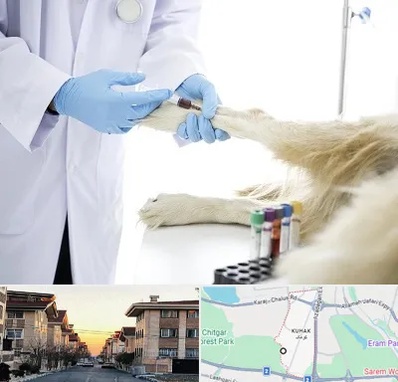 آزمایشگاه حیوانات در کوهک