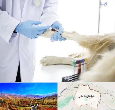 آزمایشگاه حیوانات در خراسان شمالی