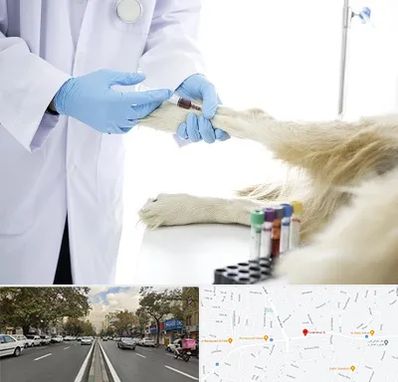 آزمایشگاه حیوانات در دولت