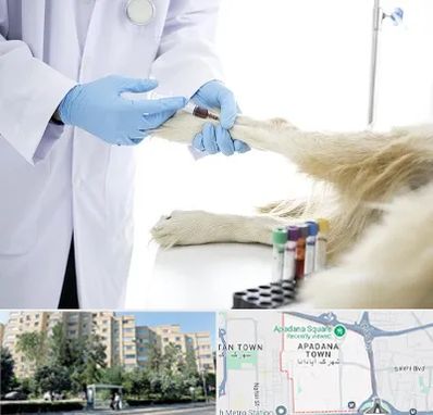 آزمایشگاه حیوانات در آپادانا