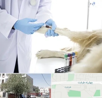 آزمایشگاه حیوانات در طرشت