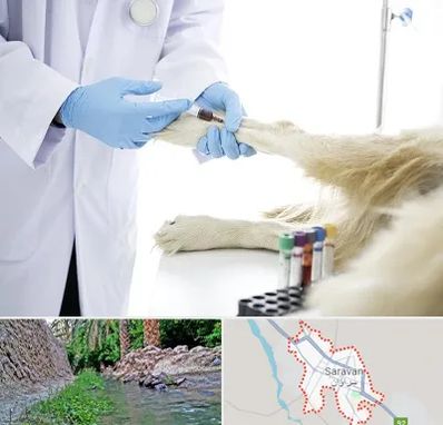 آزمایشگاه حیوانات در سراوان