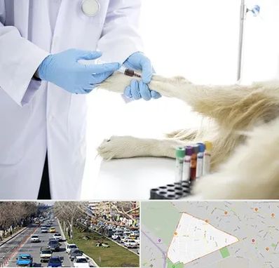 آزمایشگاه حیوانات در احمدآباد مشهد