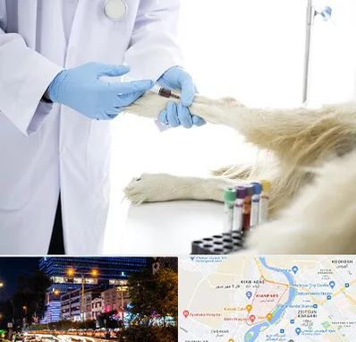 آزمایشگاه حیوانات در کیانپارس اهواز