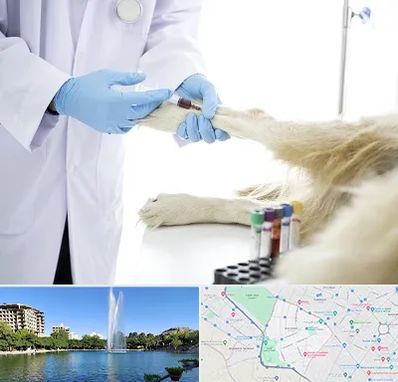 آزمایشگاه حیوانات در کوهسنگی مشهد