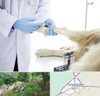 آزمایشگاه حیوانات در آزادشهر