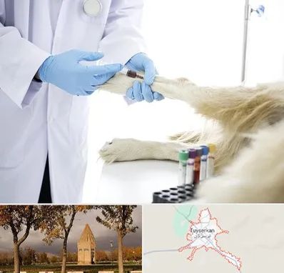 آزمایشگاه حیوانات در تویسرکان