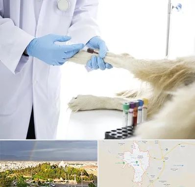 آزمایشگاه حیوانات در تربت حیدریه