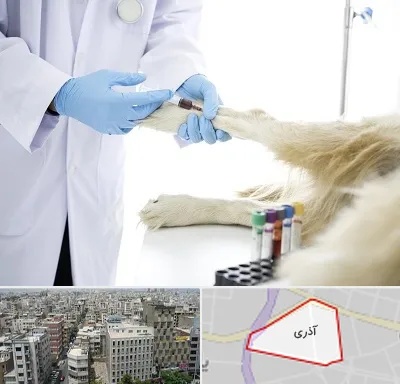 آزمایشگاه حیوانات در آذری