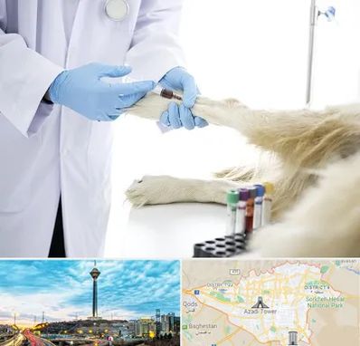 آزمایشگاه حیوانات در تهران