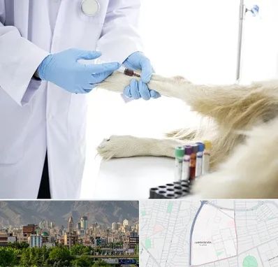 آزمایشگاه حیوانات در جمشیدیه