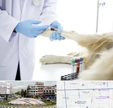 آزمایشگاه حیوانات در مرکز تهران