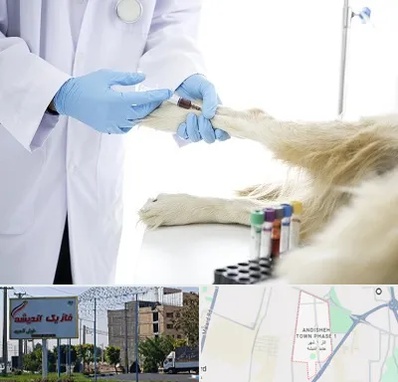آزمایشگاه حیوانات در فاز یک اندیشه