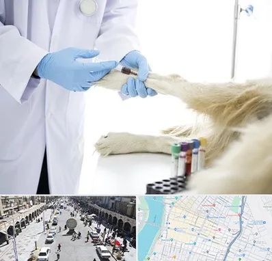 آزمایشگاه حیوانات در نادری اهواز