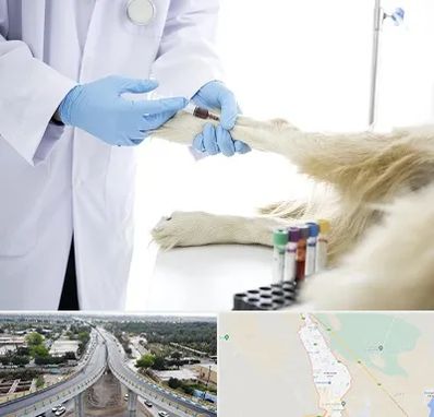 آزمایشگاه حیوانات در اندیمشک