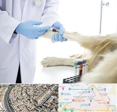 آزمایشگاه حیوانات در شهرک غرب مشهد