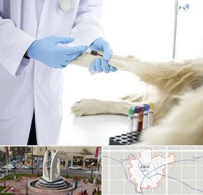 آزمایشگاه حیوانات در زابل