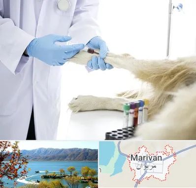 آزمایشگاه حیوانات در مریوان