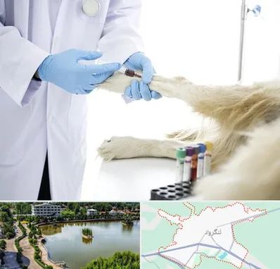 آزمایشگاه حیوانات در لنگرود