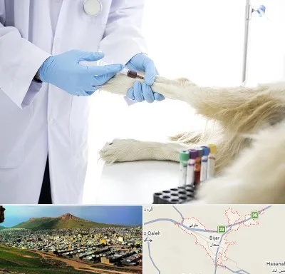 آزمایشگاه حیوانات در بیجار