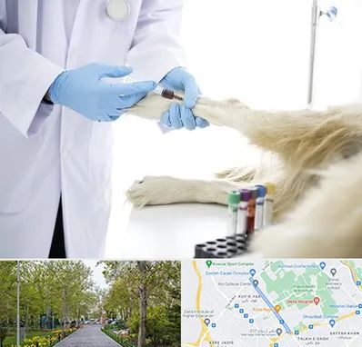 آزمایشگاه حیوانات در قدوسی غربی شیراز