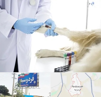 آزمایشگاه حیوانات در فردوسیه شهریار
