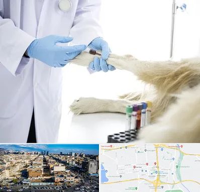 آزمایشگاه حیوانات در شهرک راه آهن