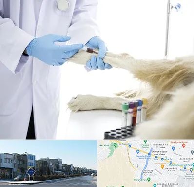 آزمایشگاه حیوانات در شریعتی مشهد