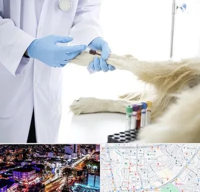 آزمایشگاه حیوانات در منظریه رشت