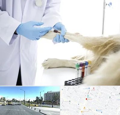 آزمایشگاه حیوانات در بلوار کلاهدوز مشهد