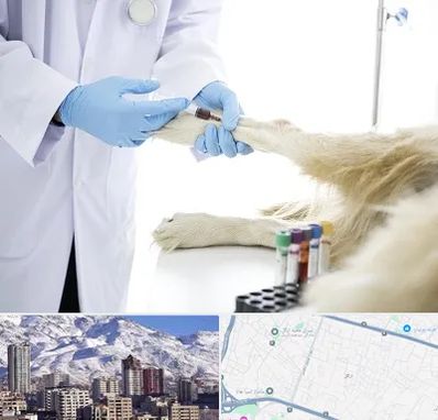 آزمایشگاه حیوانات در ازگل